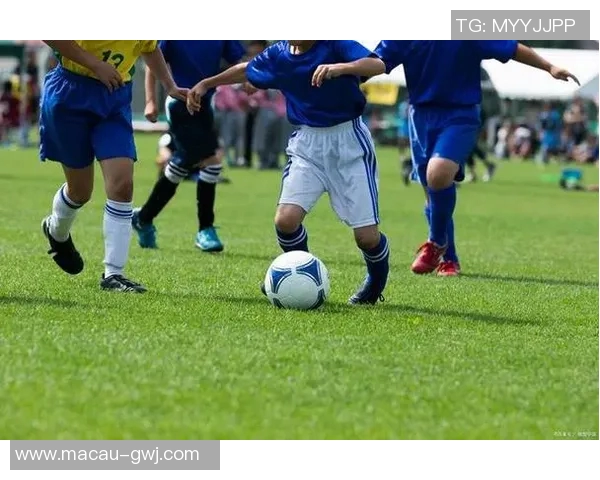 陈丽专访：从绿茵场到人生舞台的足球旅程回顾与展望