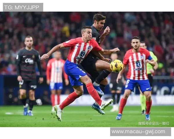 热刺对阵巴萨精彩直播回顾与赛后分析全景呈现